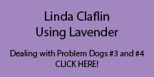 Linda-Claflin-2---Dealing-with-Problom-3-and-4