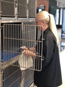 Photo of a dog grooming student cleaning a dog kennel as a part of a professional dog grooming salon sanitation routine