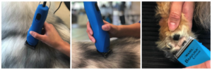 Correct way to hold clippers when grooming dogs and cats by online dog or pet grooming school