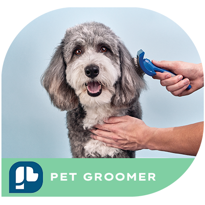 level 2 online dog grooming course enrollment