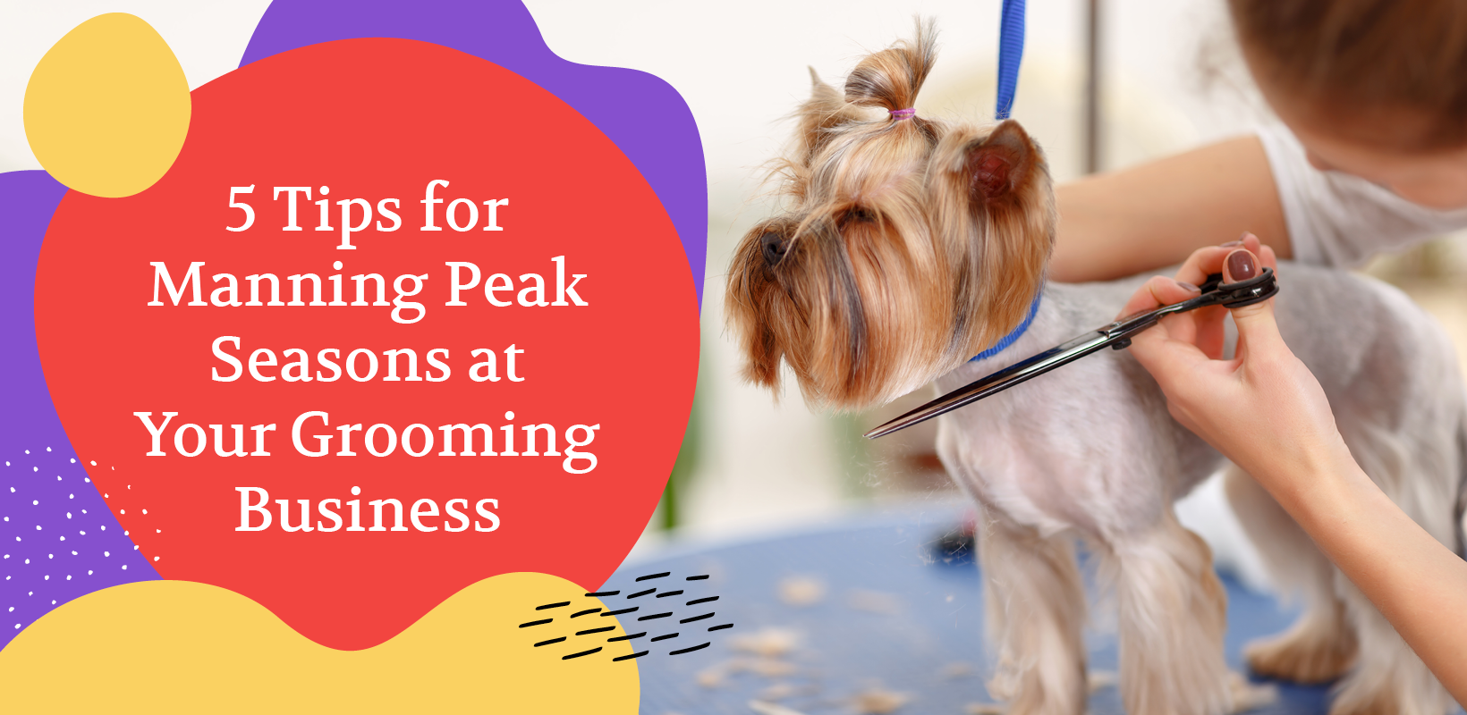 Learn how to manage peak seasons at your grooming business.